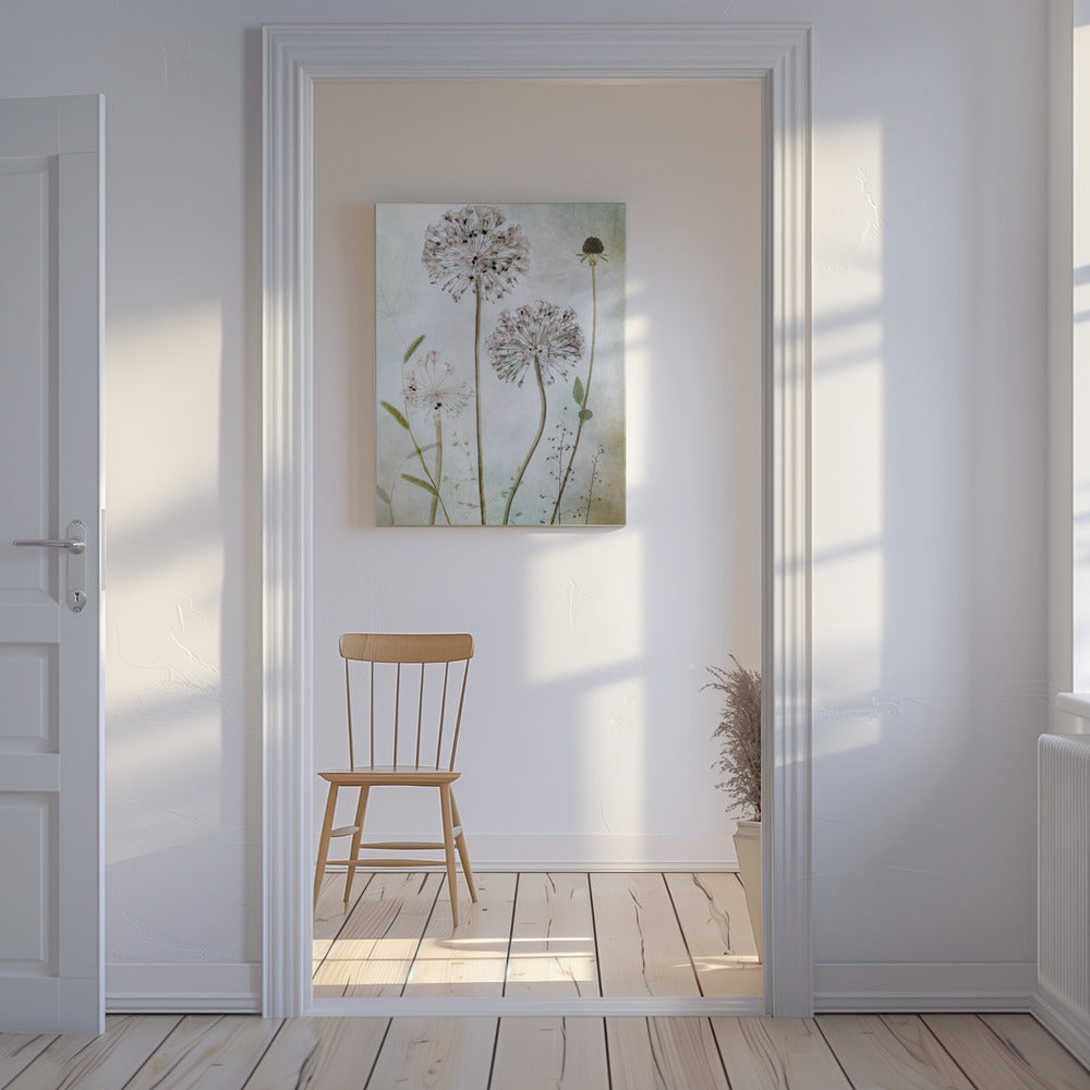 Allium | Leinwand