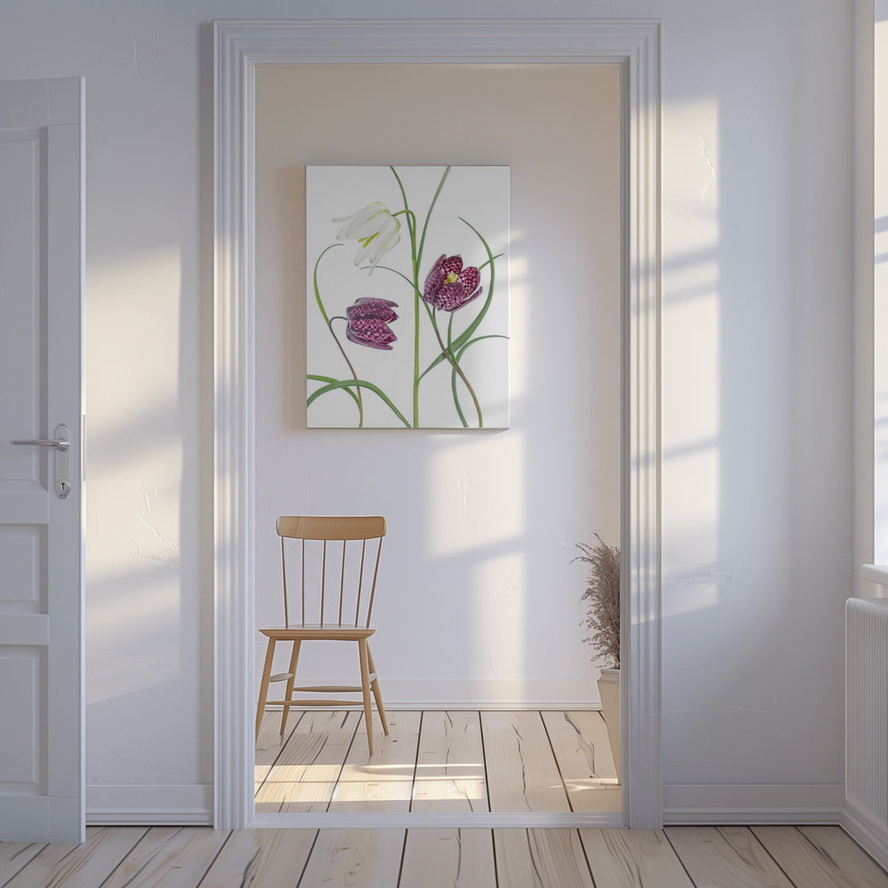 Snakes head Fritillary | Canvas