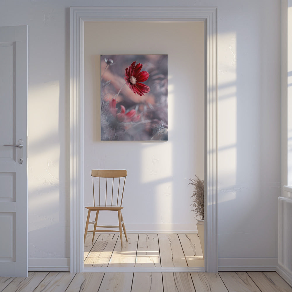 Carmen II | Canvas