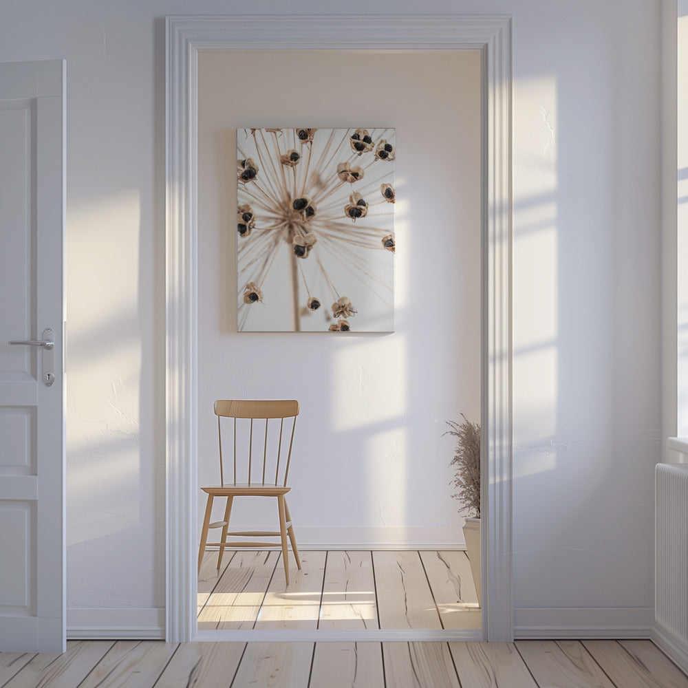 Dried_007 | Canvas