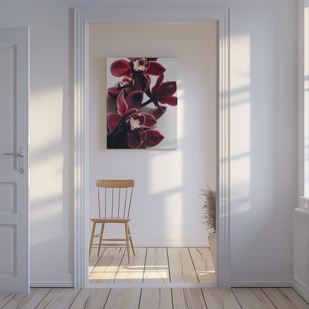 Rote Orchideen mit zarten Blütenblättern | Leinwand