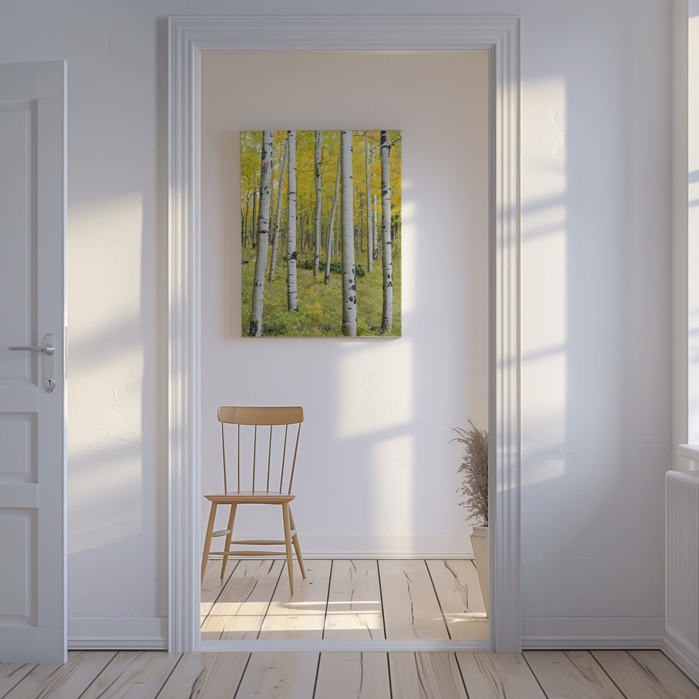 Gelbe Birken vertikal | Leinwand