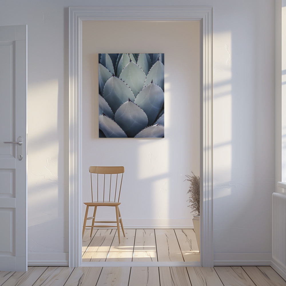 Agave Geometry | Canvas