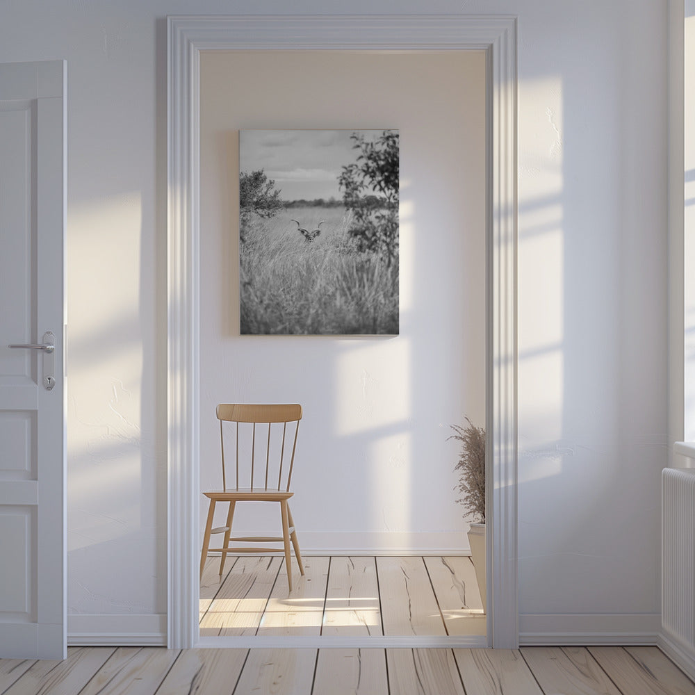 Versteckt im Gras | Leinwand
