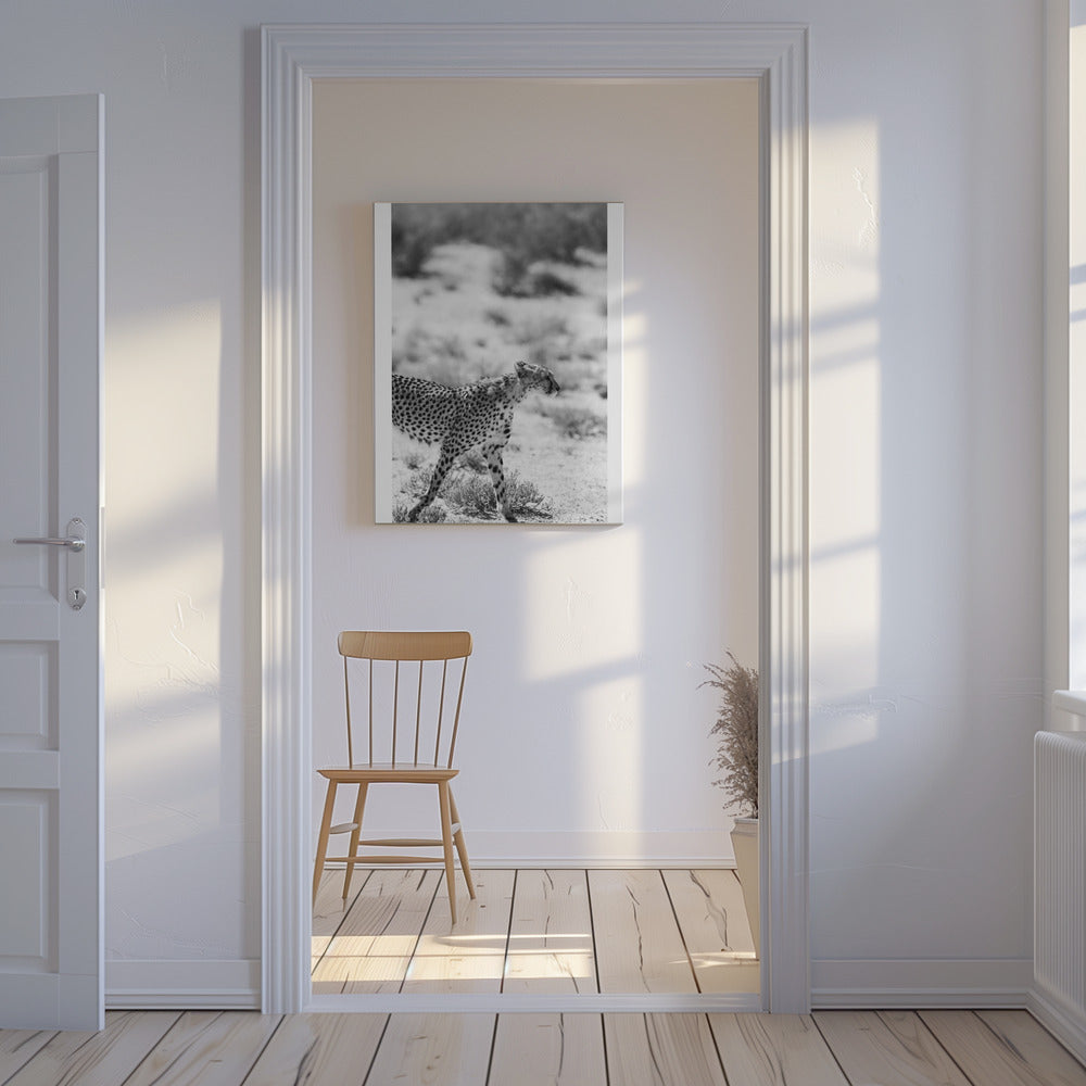 Ein laufender Gepard | Leinwand