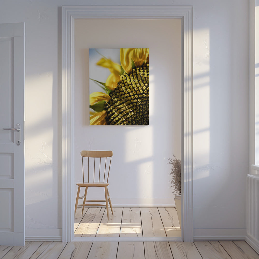 Sonnenblume Nahaufnahme | Leinwand