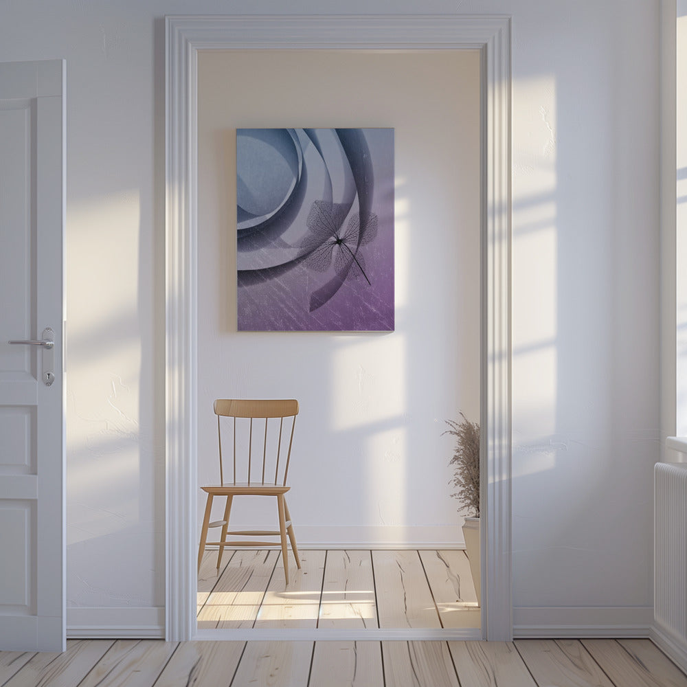 Hortensie | Leinwand