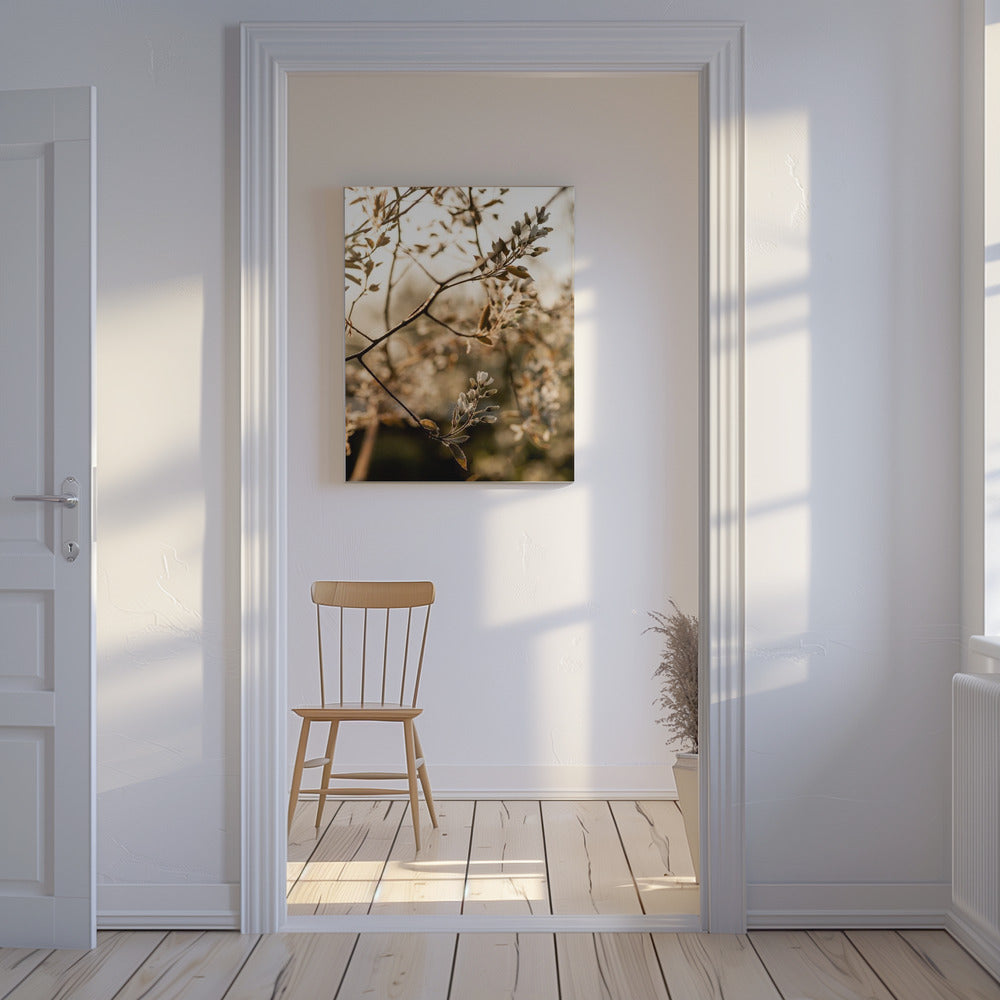 Letzter Frühling 4 | Leinwand