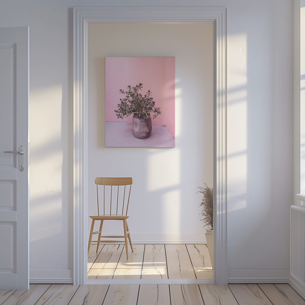 Spanish Rustic Succulent | Canvas