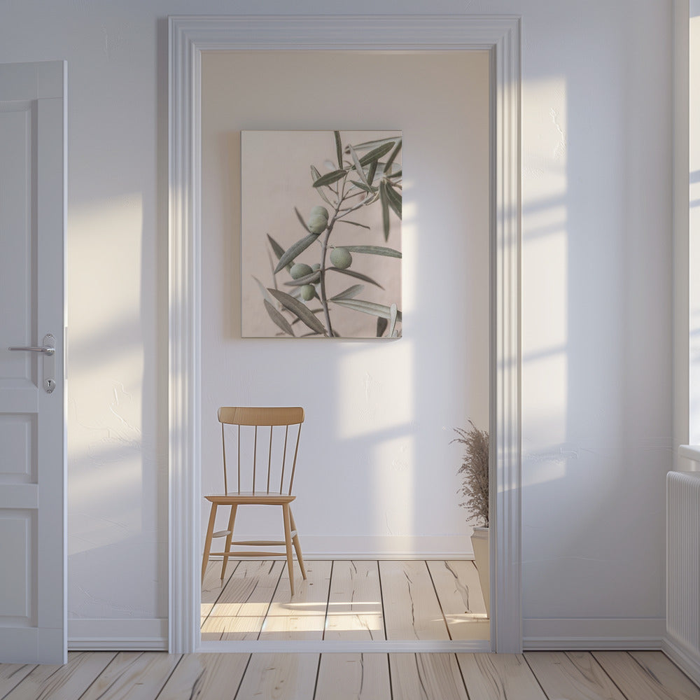 Olives | Canvas