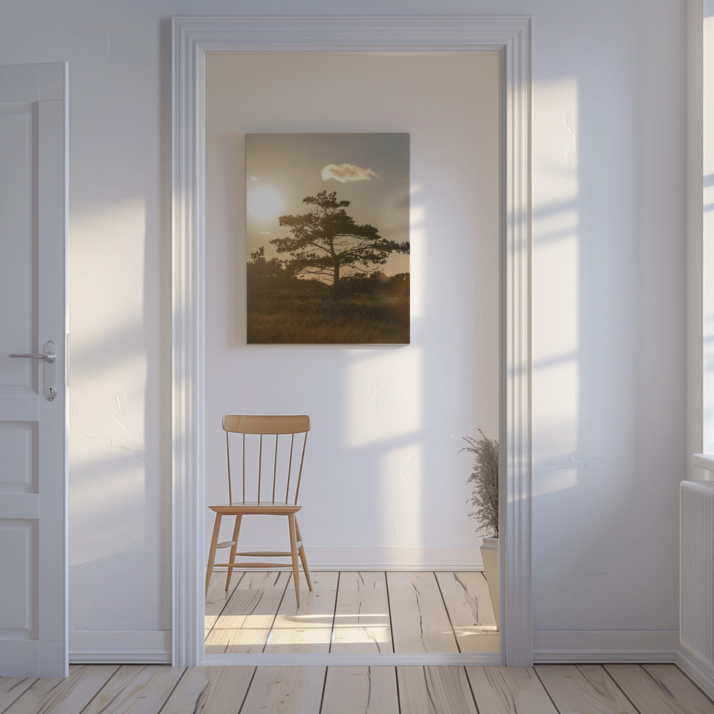 Baum in den Dünen 1 | Leinwand