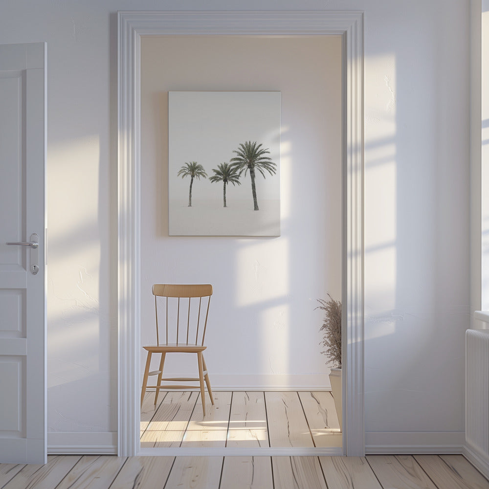 Palms | Canvas