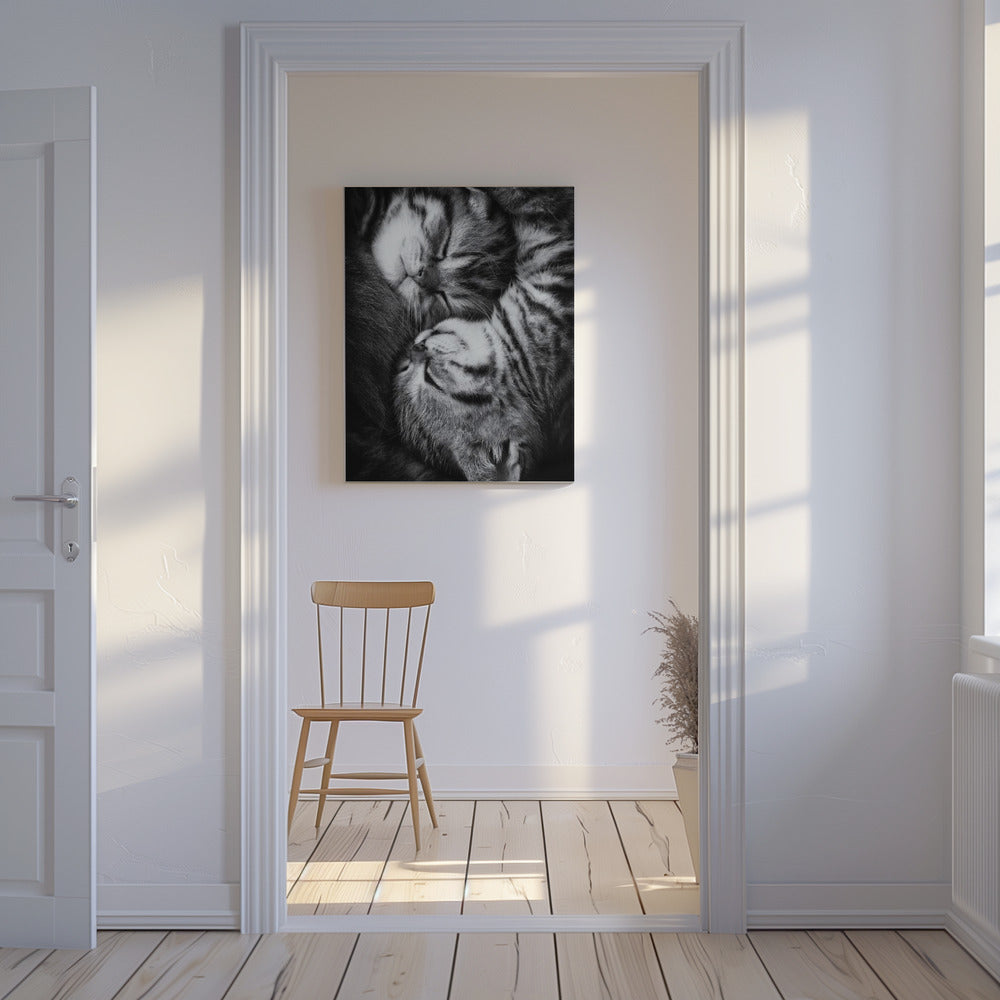 Yin und Yang | Leinwand