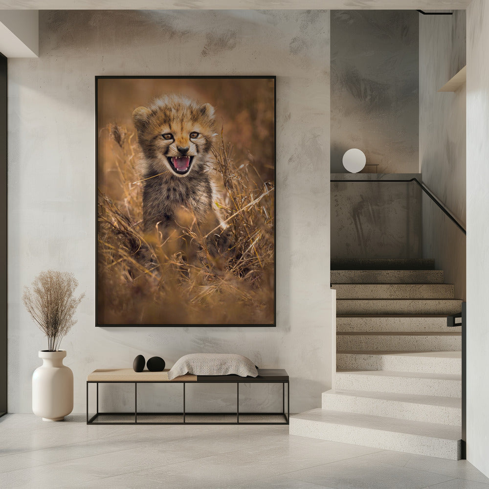 Big Smile | Poster