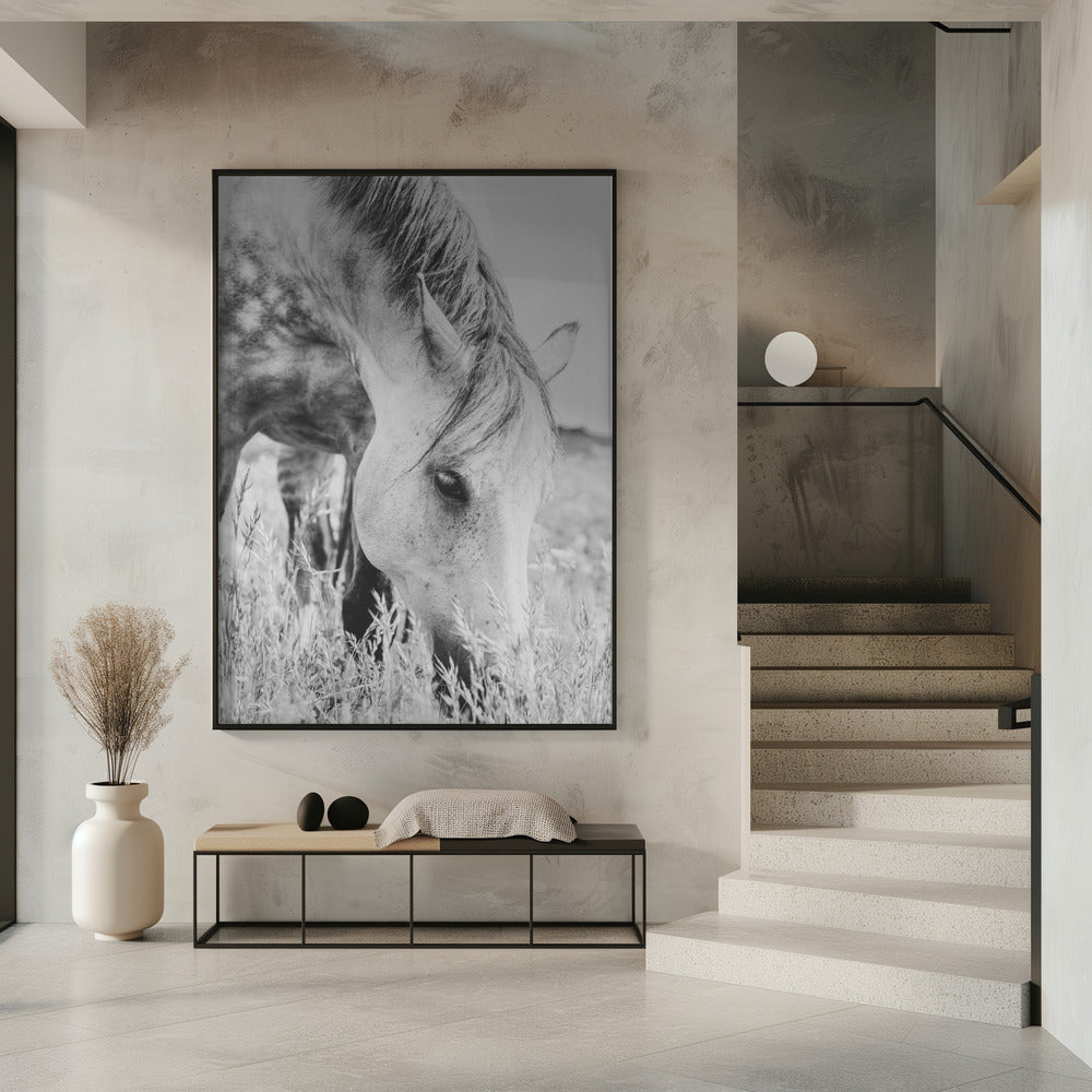 Hengst | Poster