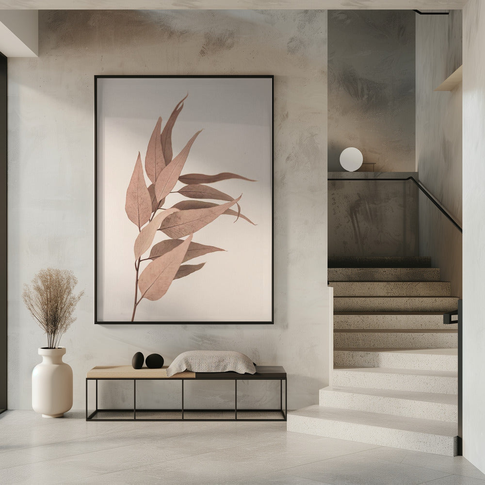 Getrockneter Eukalyptus | Poster