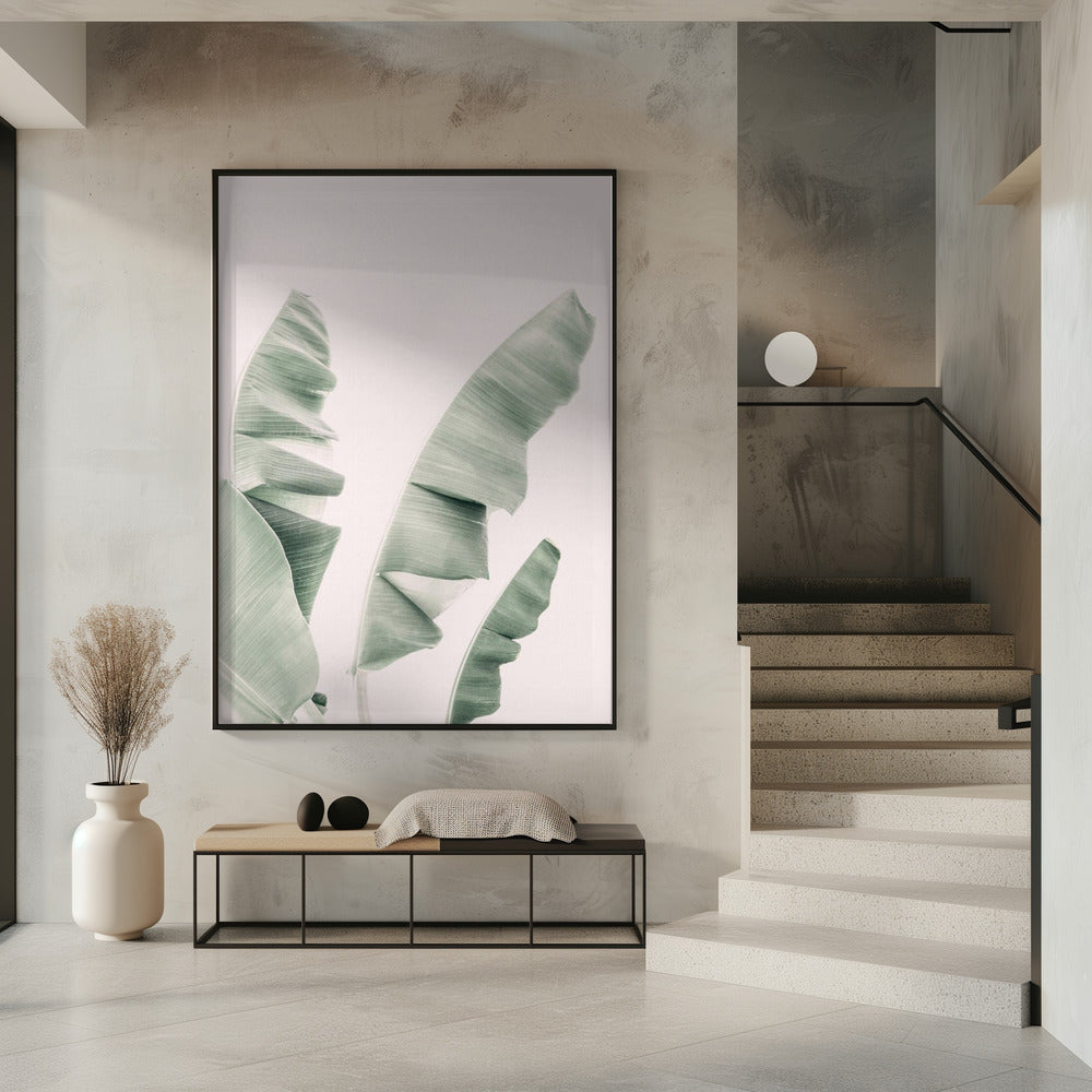 Blush Bananenblätter | Poster