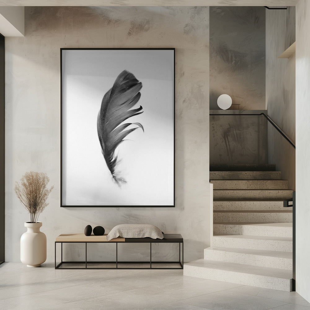 Feder | Poster