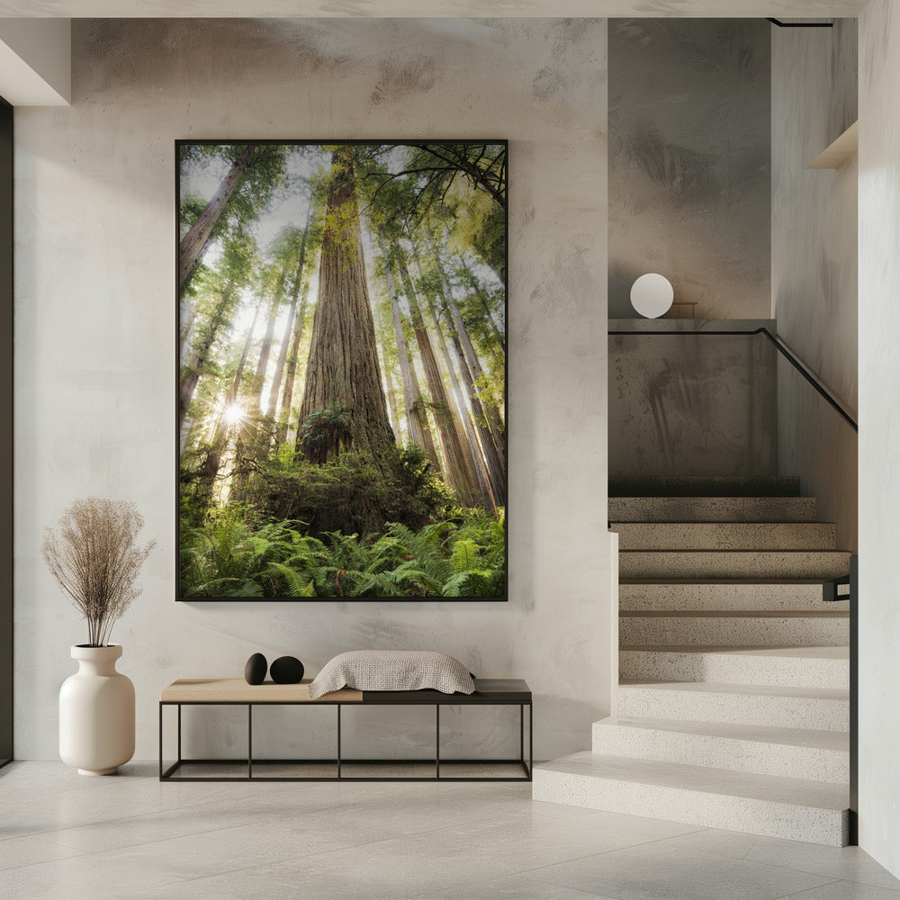 Schöner Wald | Poster