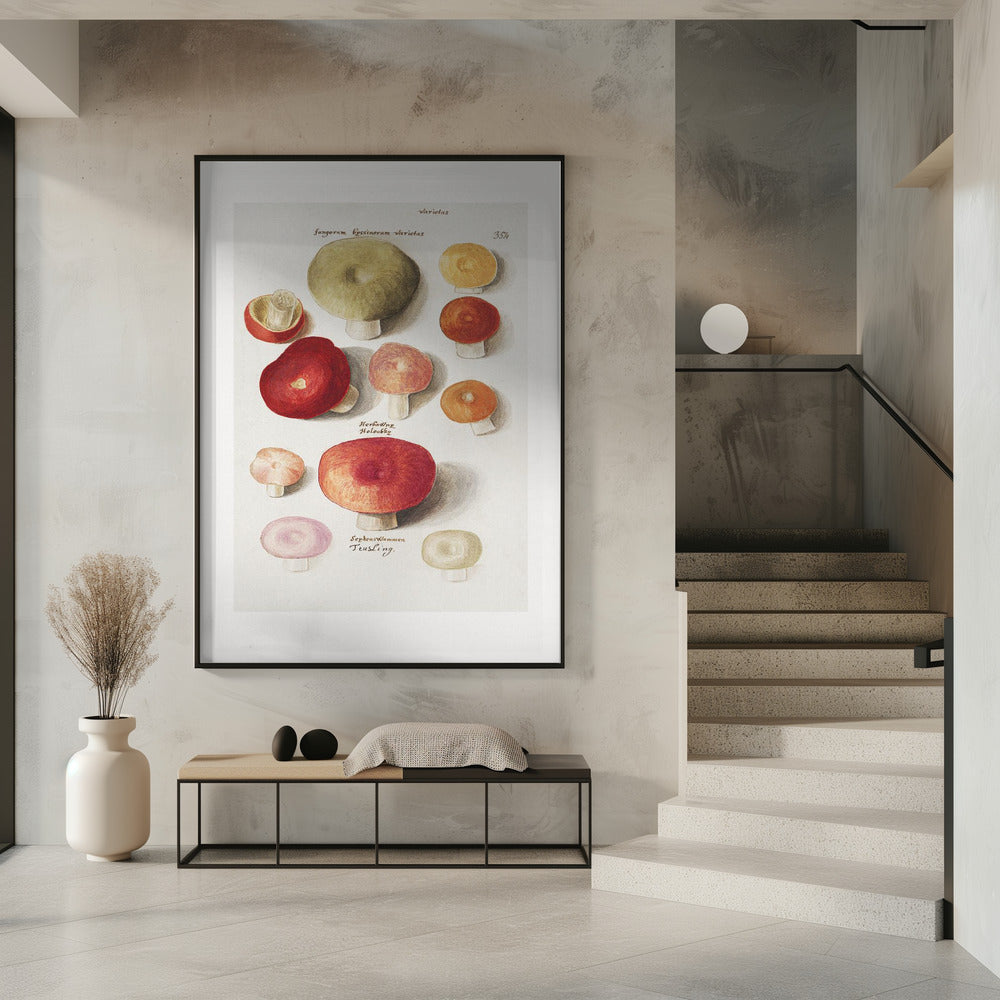 Boleten, Boletales stehend | Poster