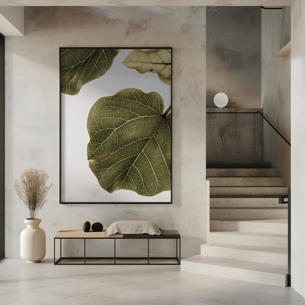 Leaf Vein Tapestry | Poster