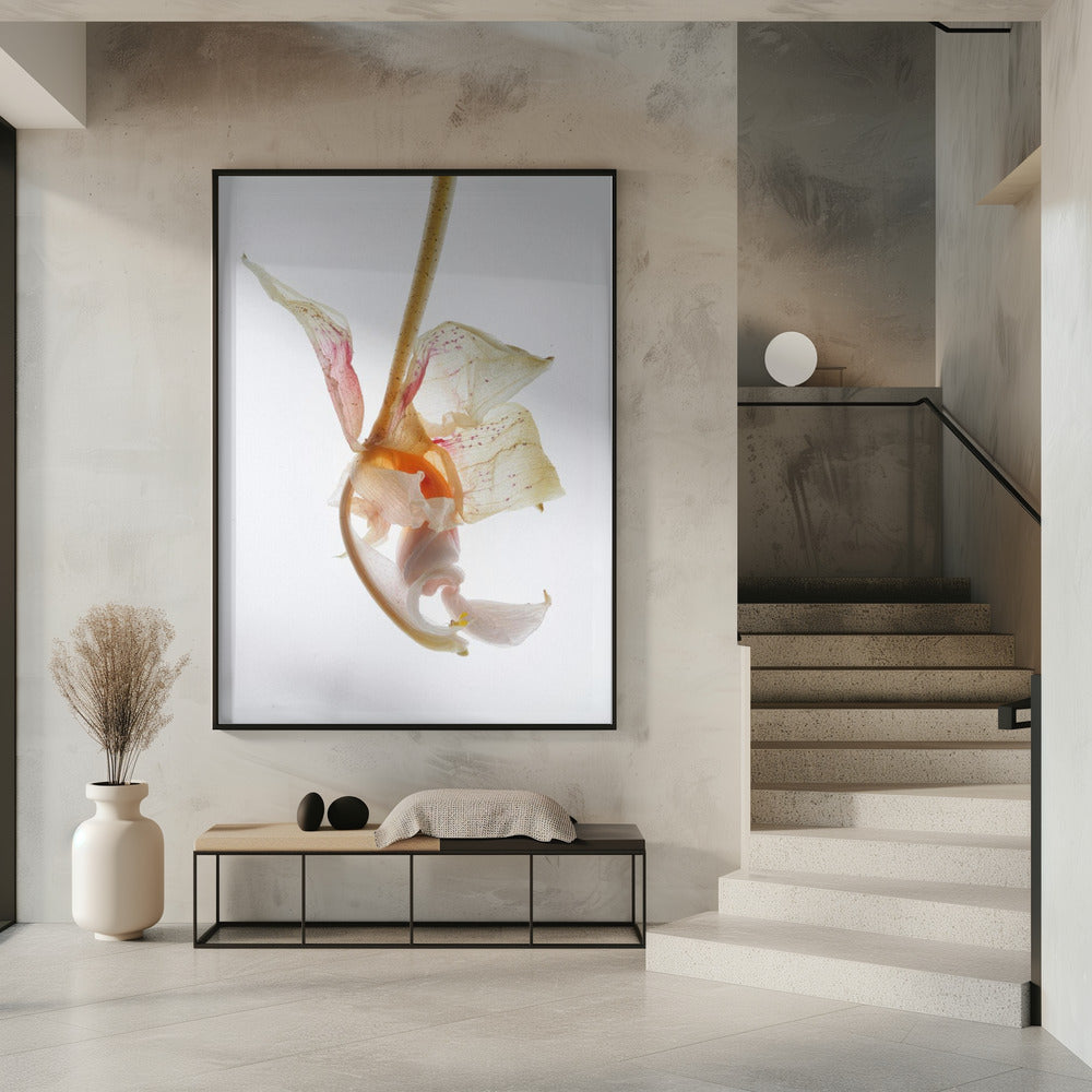 Blütenblatt-Symphonie | Poster