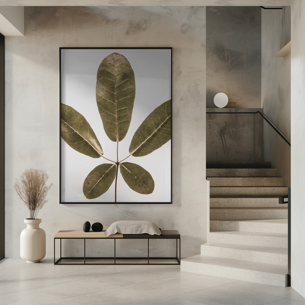 Fünfblättrige Harmonie | Poster
