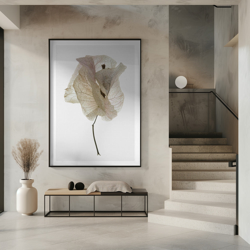 Petal Whisper | Poster