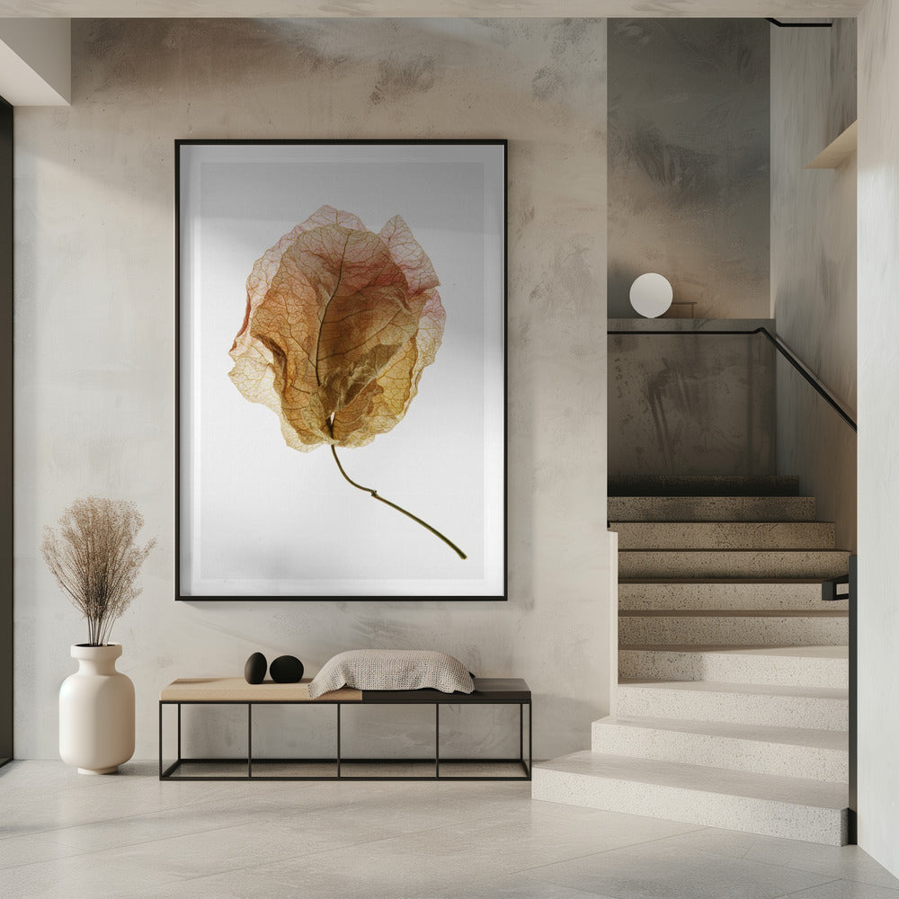 Veined Elegance | Poster