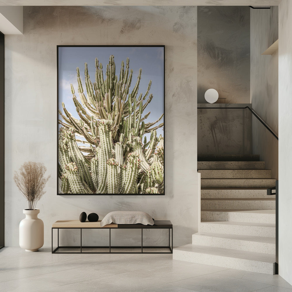 Cactus Symphony | Poster