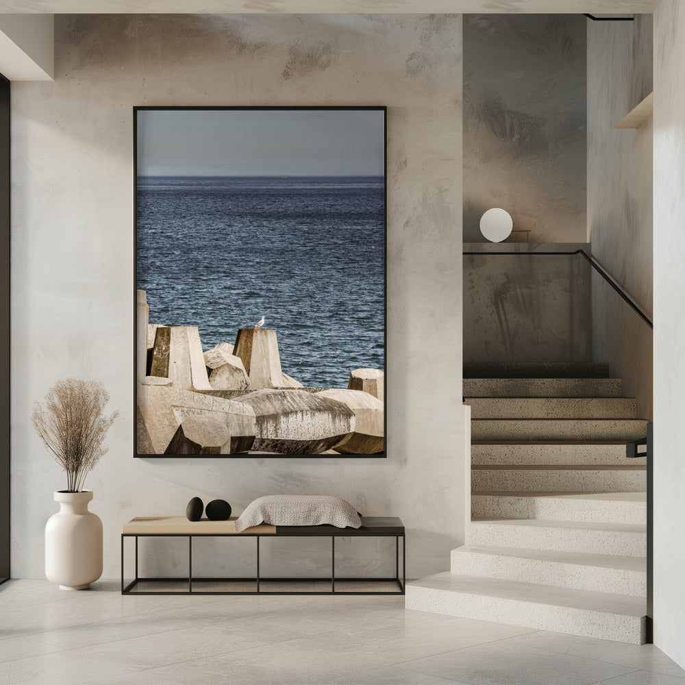Möwe am Meer | Poster