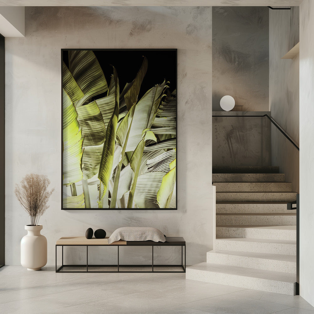 Bananenblätter in sanfter Beleuchtung | Poster