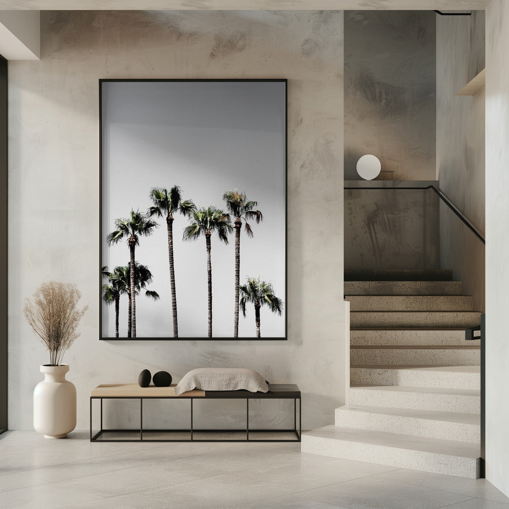 Palm Trees 5 | Poster