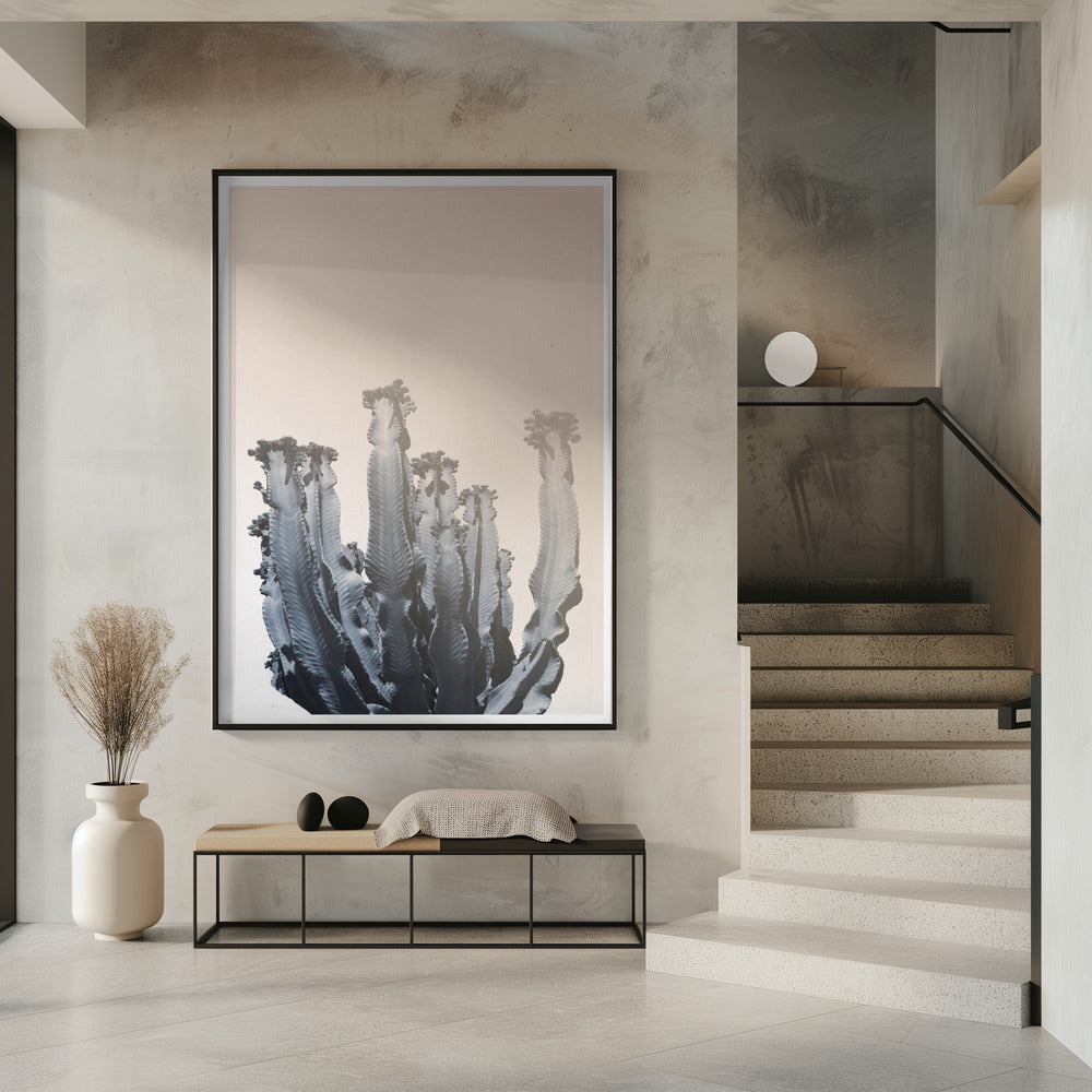 Kaktus-Silhouetten | Poster