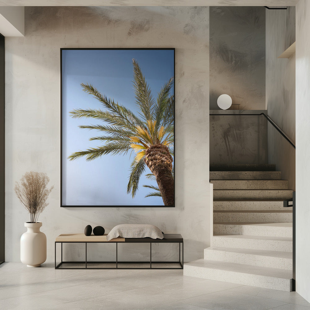Vejer de La Frontera Palme | Poster