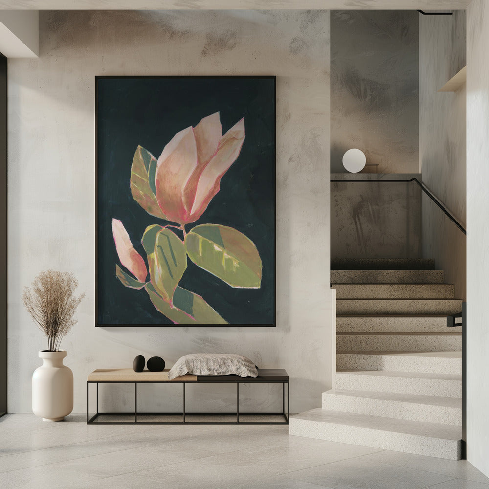 Magnolie im dunklen Hintergrund | Poster