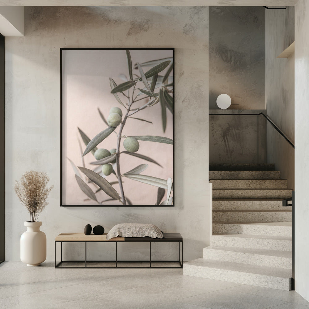 Olives | Poster