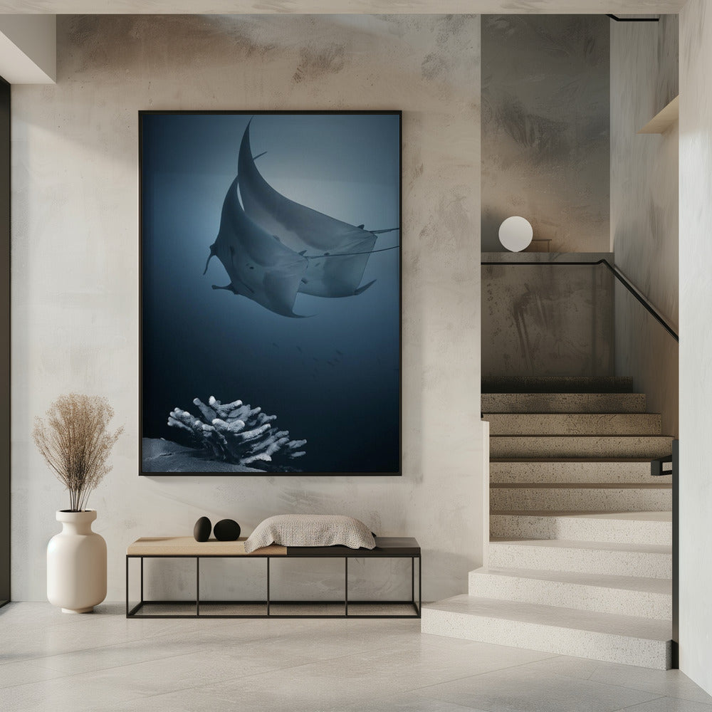 Sonata | Poster