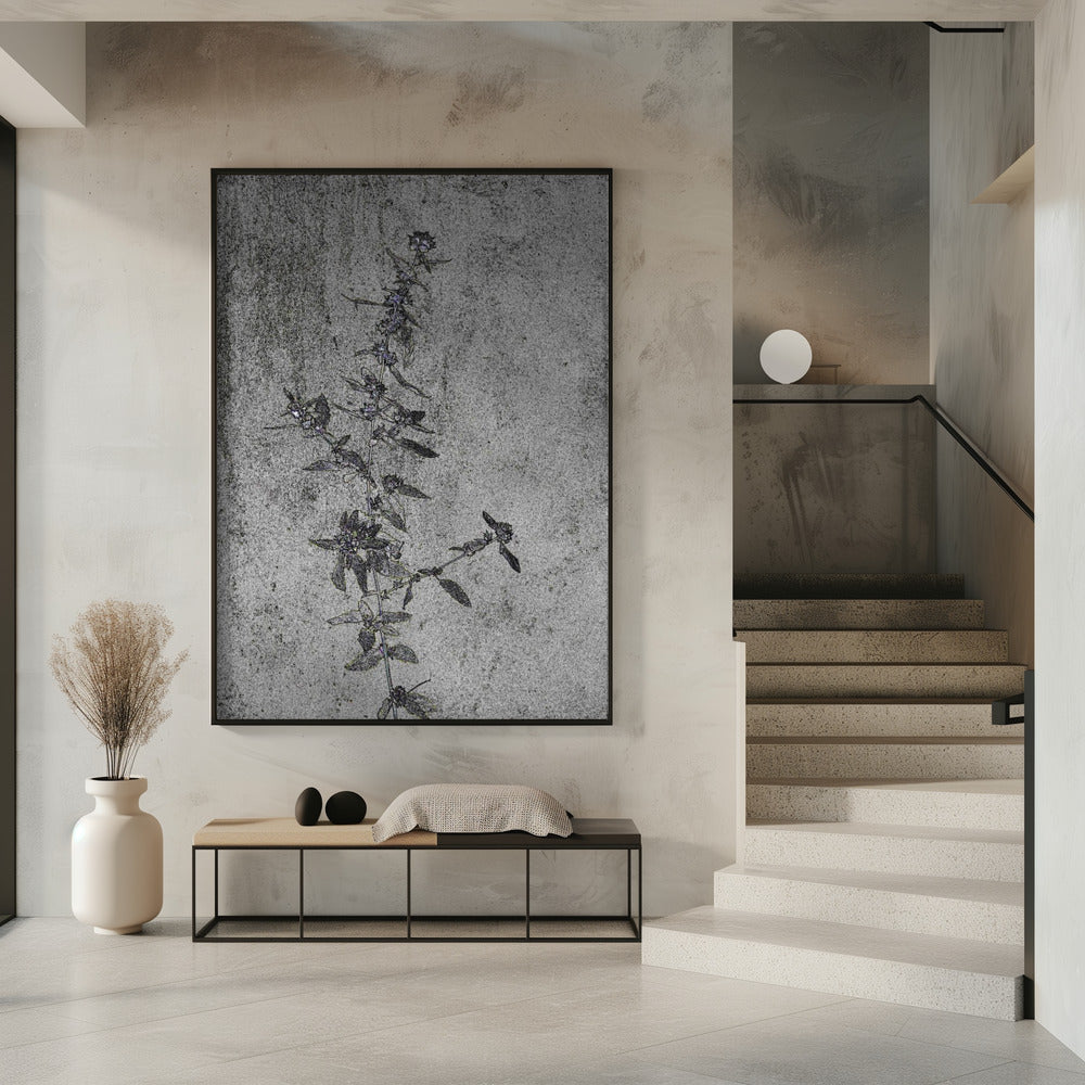 Concrete Blossoms | Poster