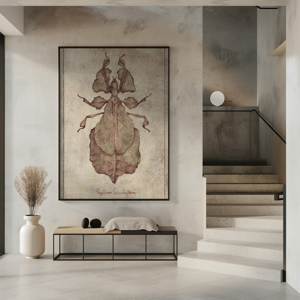 Phyllium Siccifolium Copy | Poster