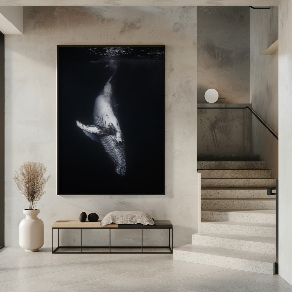 Black Whale | Poster