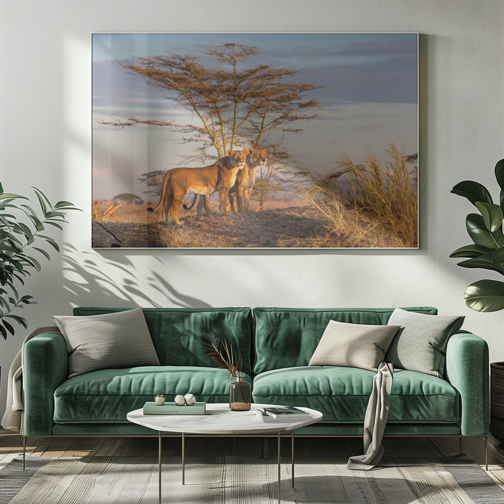 Sisters | Canvas