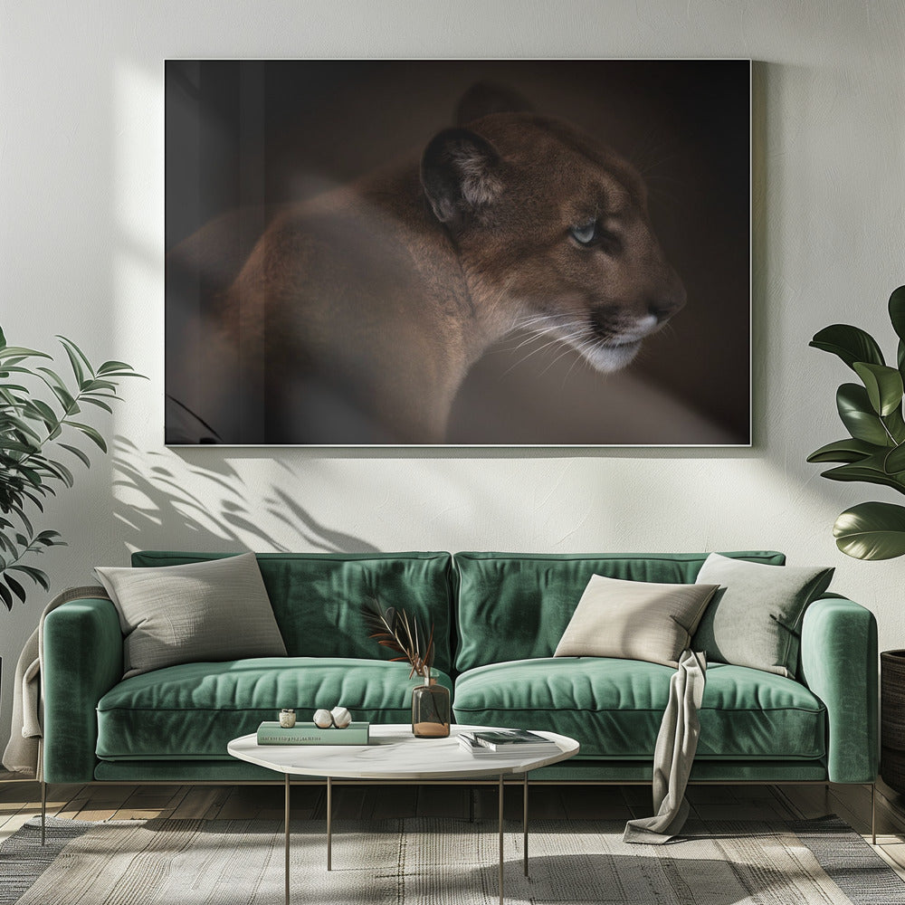 Puma | Leinwand