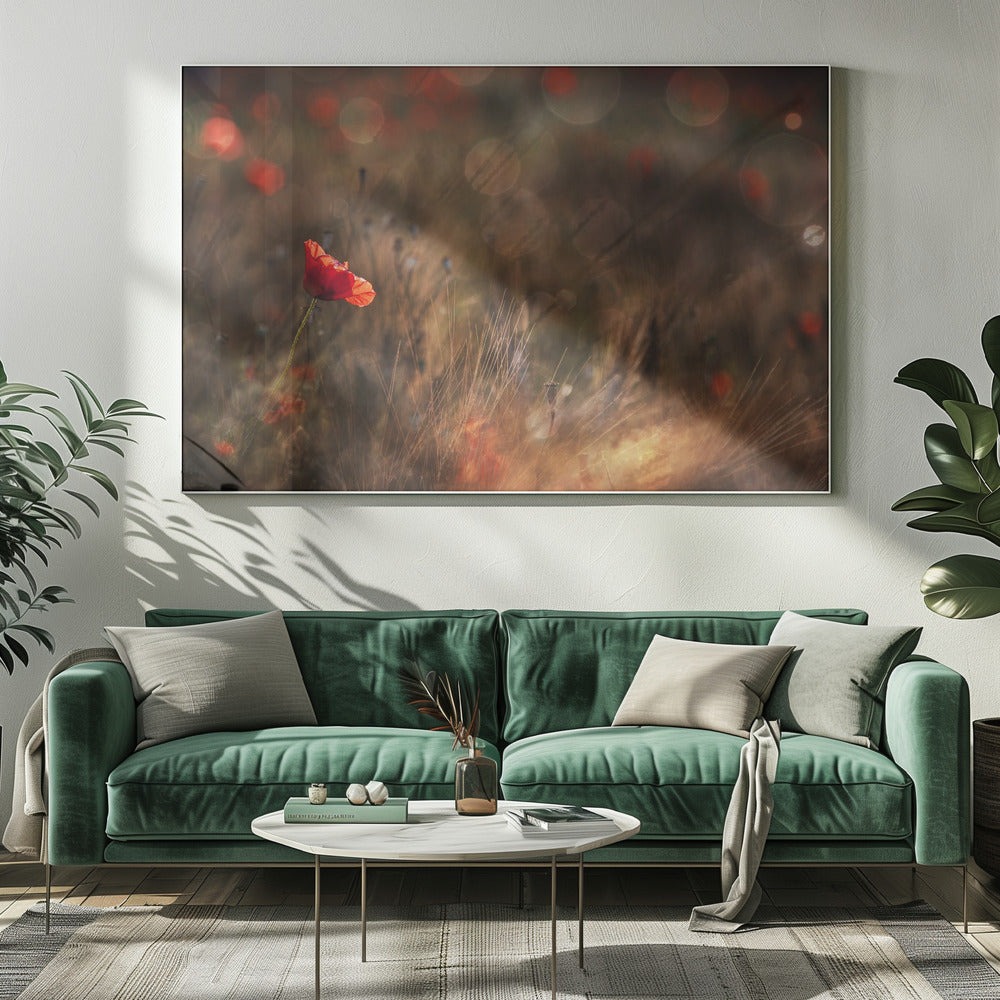 Mohn | Leinwand
