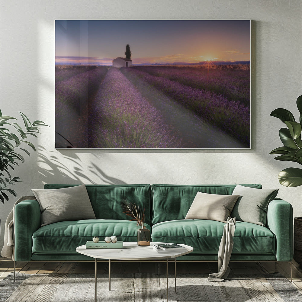 Provence Lavendel | Leinwand