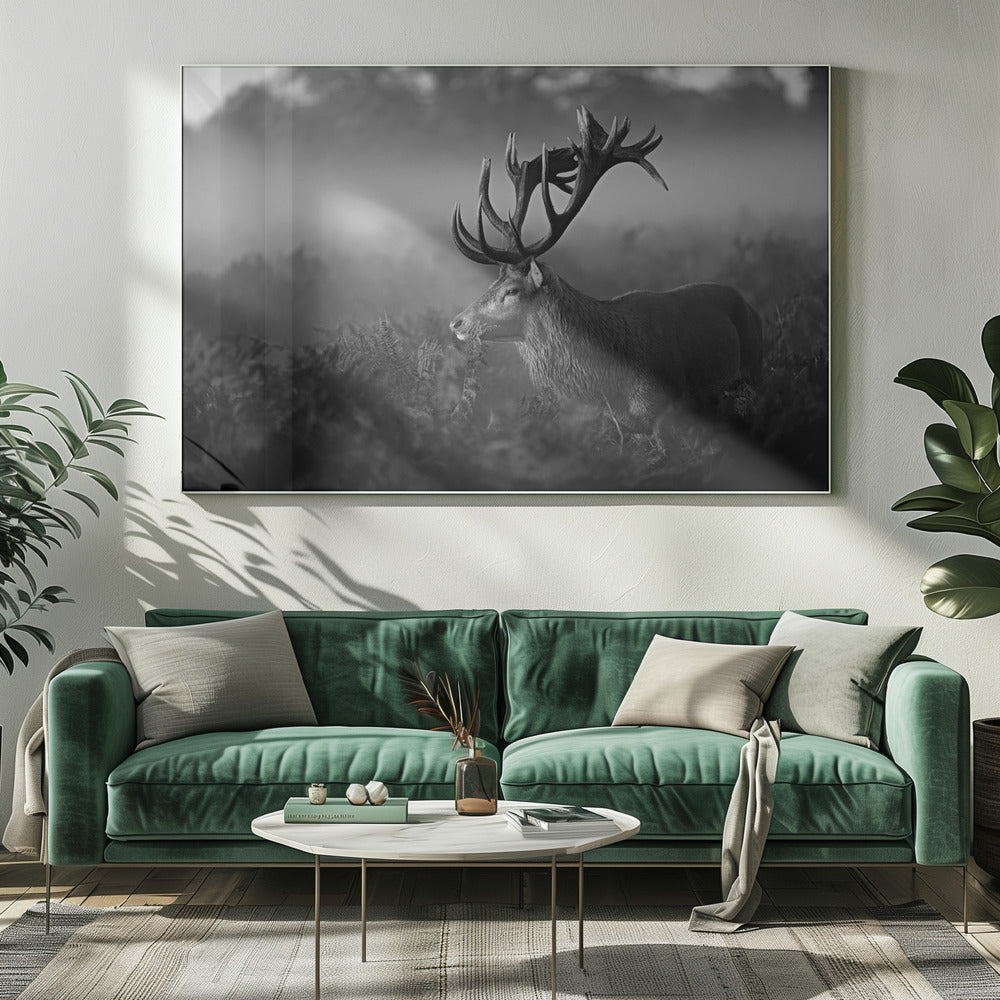 Sunny Morning | Canvas