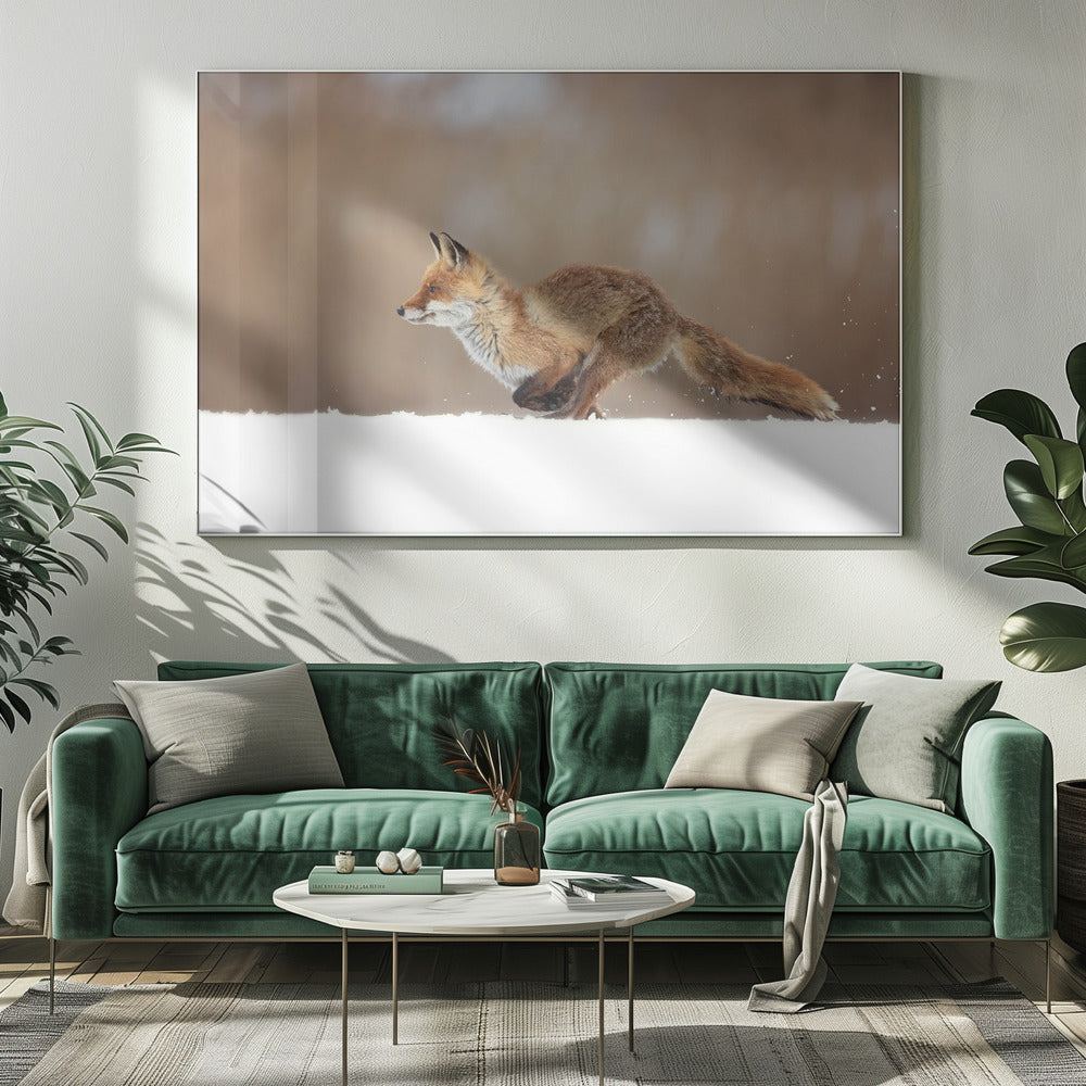 Roter Fuchs | Leinwand