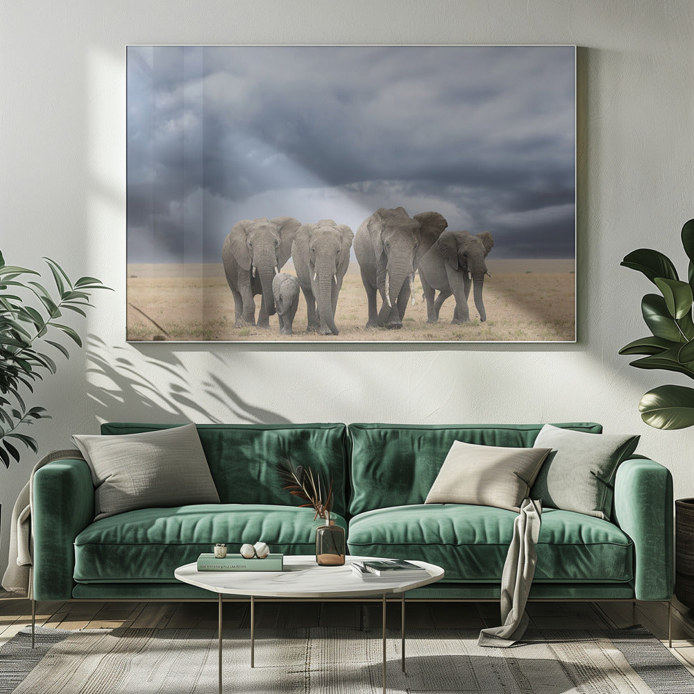 Elefantenspaziergang | Leinwand