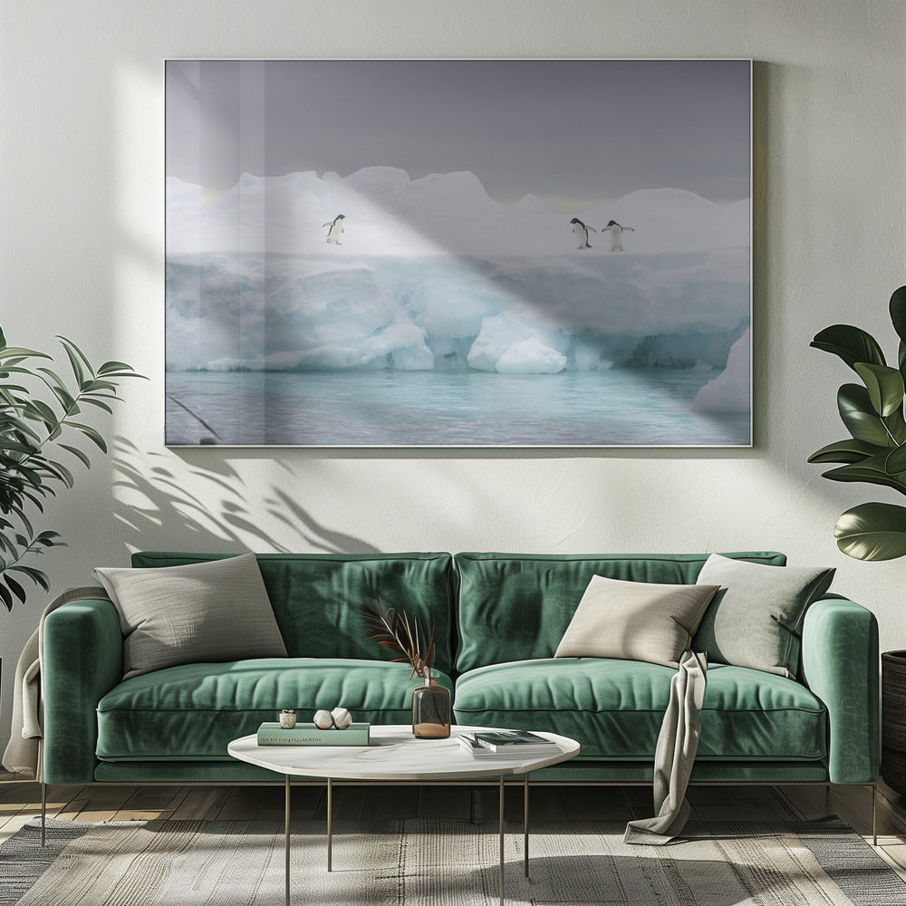 The Stage | Canvas