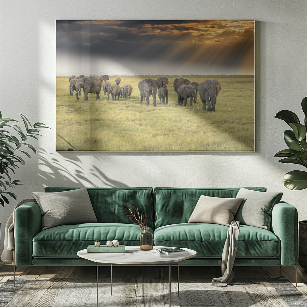 Aus Liebe zu Elefanten | Leinwand
